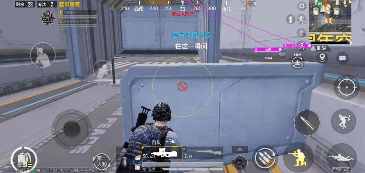 和平精英《向日葵》外挂